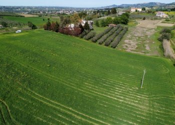 Foto 22 - Terreno agricolo Contrada Ripacorbaria, Manoppello - foto 22