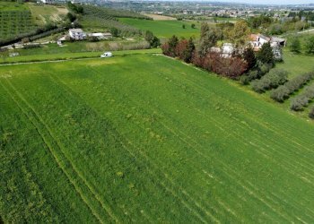 Foto 23 - Terreno agricolo Contrada Ripacorbaria, Manoppello - foto 23