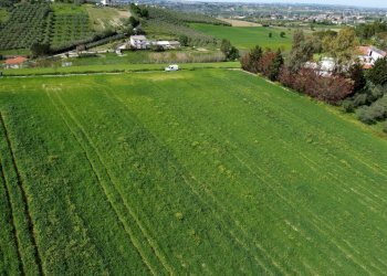 Foto 24 - Terreno agricolo Contrada Ripacorbaria, Manoppello - foto 24