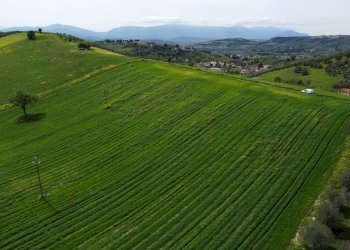 Foto 29 - Terreno agricolo Contrada Ripacorbaria, Manoppello - foto 29