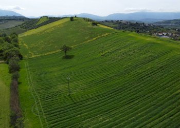 Foto 30 - Terreno agricolo Contrada Ripacorbaria, Manoppello - foto 30