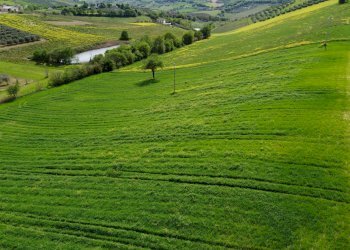 Foto 31 - Terreno agricolo Contrada Ripacorbaria, Manoppello - foto 31