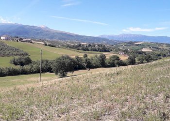 Foto 32 - Terreno agricolo Contrada Ripacorbaria, Manoppello - foto 32