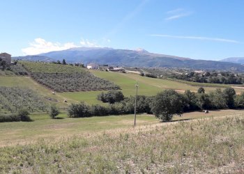 Foto 33 - Terreno agricolo Contrada Ripacorbaria, Manoppello - foto 33