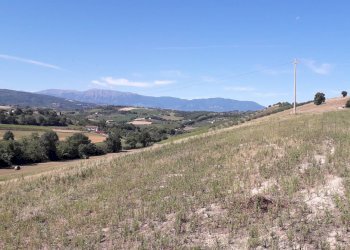 Foto 34 - Terreno agricolo Contrada Ripacorbaria, Manoppello - foto 34