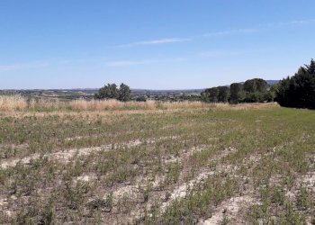 Foto 36 - Terreno agricolo Contrada Ripacorbaria, Manoppello - foto 36