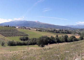 Foto 37 - Terreno agricolo Contrada Ripacorbaria, Manoppello - foto 37