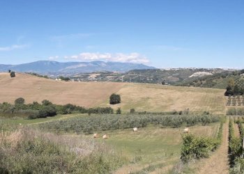 Foto 39 - Terreno agricolo Contrada Ripacorbaria, Manoppello - foto 39