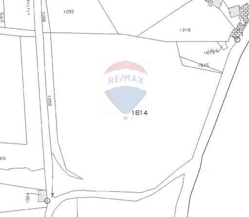 Pianta 2D - Terreno agricolo Via Nizzeti
 
169, Aci Catena - planimetria 1