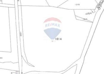 Pianta 2D - Terreno agricolo Via Nizzeti
 
169, Aci Catena - foto 2