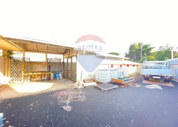 Terrazza - Commercial Premises via Belpasso-Pedara, Mascalucia - photo 5