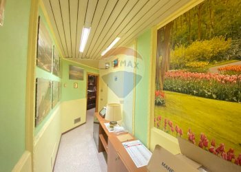 Hall / corridoio - Commercial Premises via Belpasso-Pedara, Mascalucia - photo 28