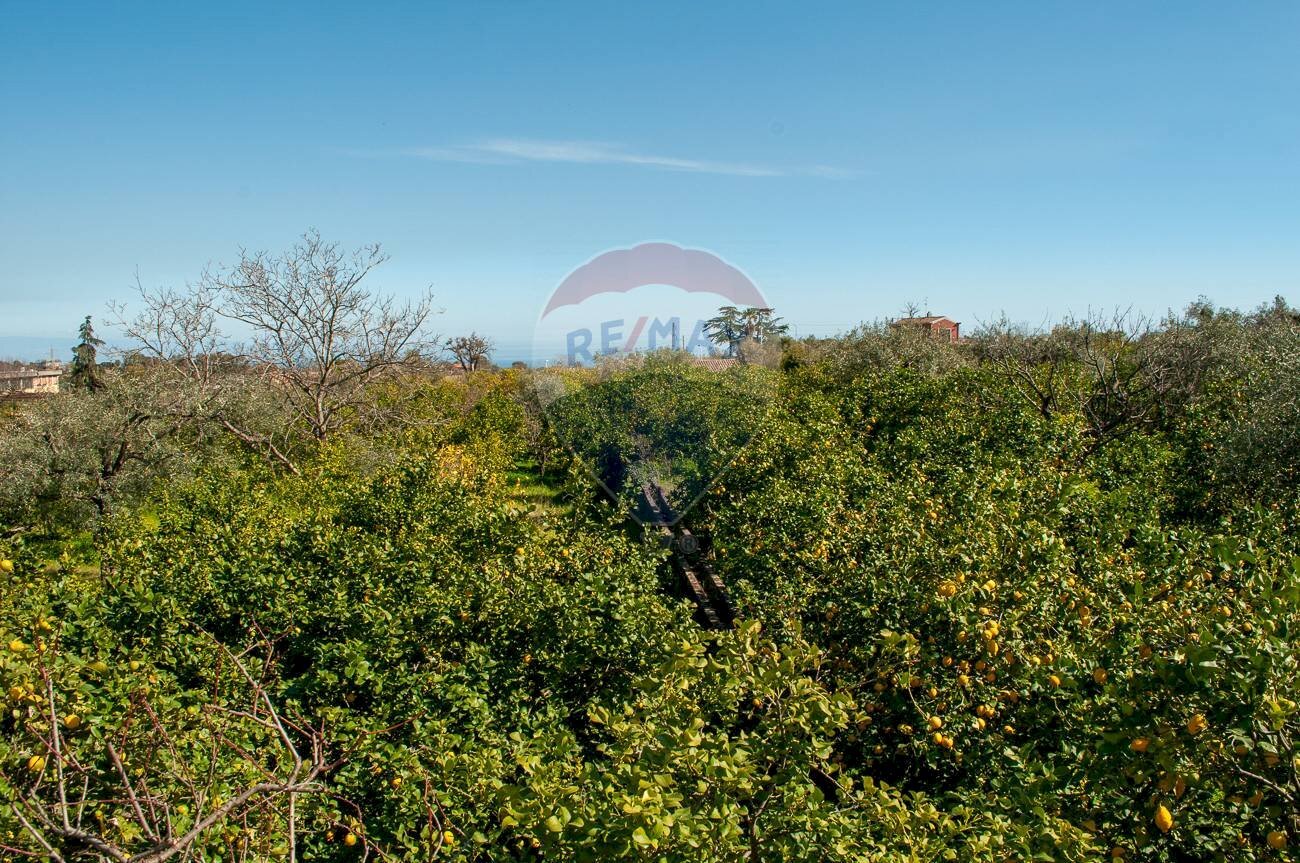 Giardino - Rustico Via Torrente Vallonazzo
s.n.c., Mascali - foto 2
