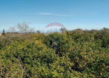 Giardino - Rustic Via Torrente Vallonazzo
 
s.n.c., Mascali - photo 2