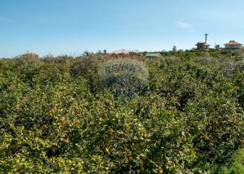 Non correlato - Rustic Via Torrente Vallonazzo
 
s.n.c., Mascali - photo 3