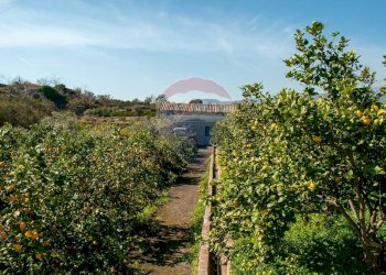 Giardino - Rustic Via Torrente Vallonazzo
 
s.n.c., Mascali - photo 5