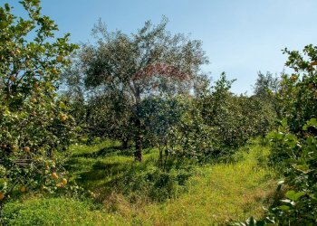 Giardino - Rustic Via Torrente Vallonazzo
 
s.n.c., Mascali - photo 7