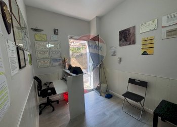 Ufficio - Negozio michele leonardi greco
100, Santa Maria di Licodia - foto 8