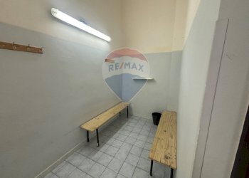Terrazza - Negozio michele leonardi greco
100, Santa Maria di Licodia - foto 10