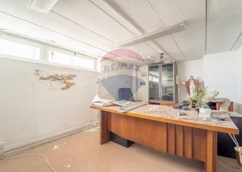 Ufficio - Locale Commerciale Via delle Cerquette
 
56, Ariccia - foto 7