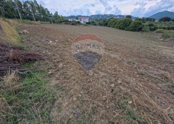 Vista delle montagne - Terreno edificabile c.da Pezze, San Marco Argentano - foto 2
