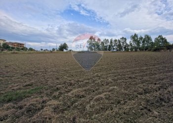 Non correlato - Terreno edificabile c.da Pezze, San Marco Argentano - foto 3