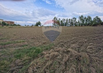 Giardino - Terreno edificabile c.da Pezze, San Marco Argentano - foto 7