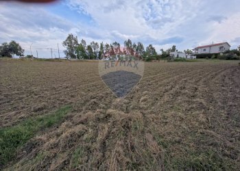 Giardino - Terreno edificabile c.da Pezze, San Marco Argentano - foto 8