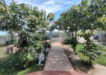 Giardino - Casa indipendente strada leona
 
43, Jolanda di Savoia - foto 13