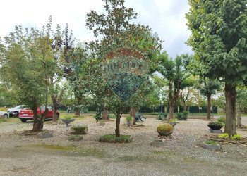 Giardino - Quadrilocale Strada Bolla
 
1A, Alessandria - foto 21