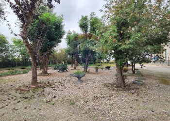 Giardino - Quadrilocale Strada Bolla
 
1A, Alessandria - foto 23