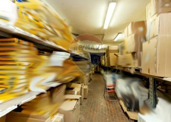 Palestra - Cantina / Solaio Roma - foto 16