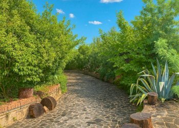 Foto 3 - Villa Roma - photo 3