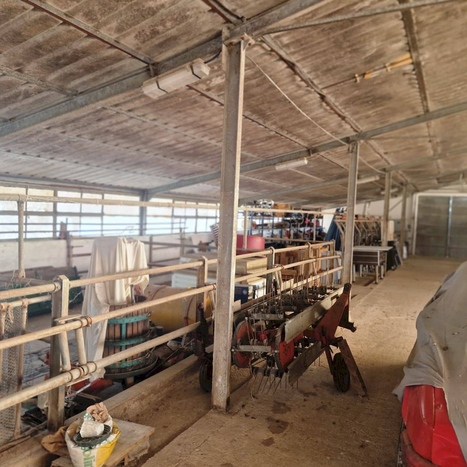 Foto 2 - Capannone via campagnola
 
18, Attimis - foto 2