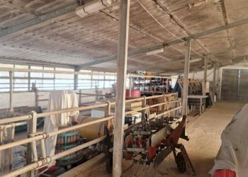 Foto 2 - Capannone via campagnola
 
18, Attimis - foto 2