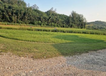 Foto 8 - Capannone via campagnola
 
18, Attimis - foto 8