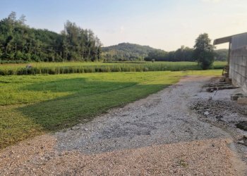 Foto 9 - Capannone via campagnola
 
18, Attimis - foto 9