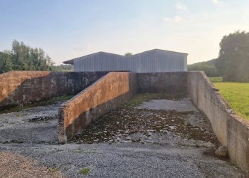 Foto 11 - Capannone via campagnola
 
18, Attimis - foto 11