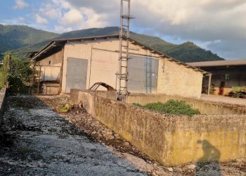 Foto 13 - Capannone via campagnola
 
18, Attimis - foto 13