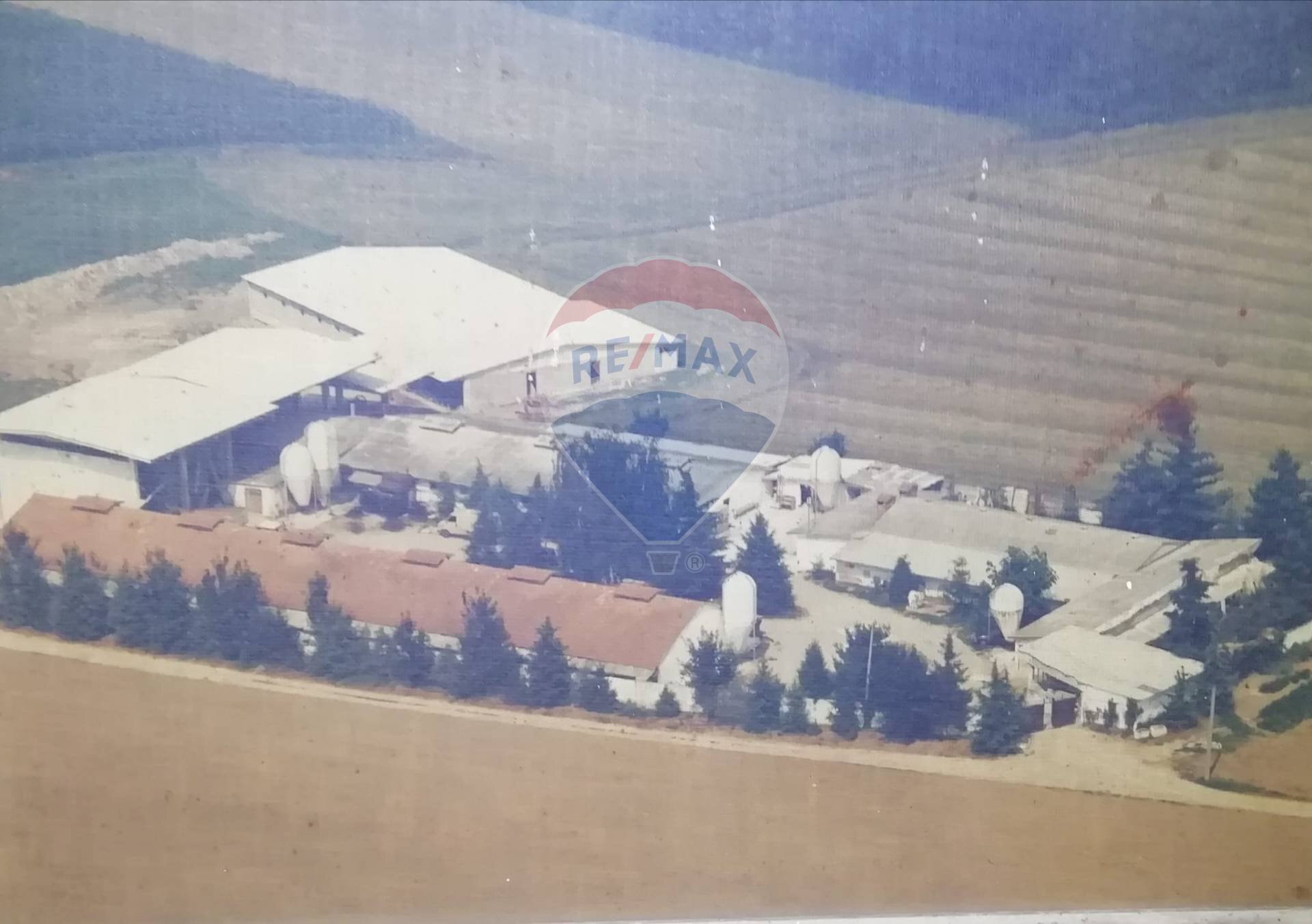 Vista delle montagne - Terreno agricolo Via Tripoli
 
3, Agrate Conturbia - foto 1