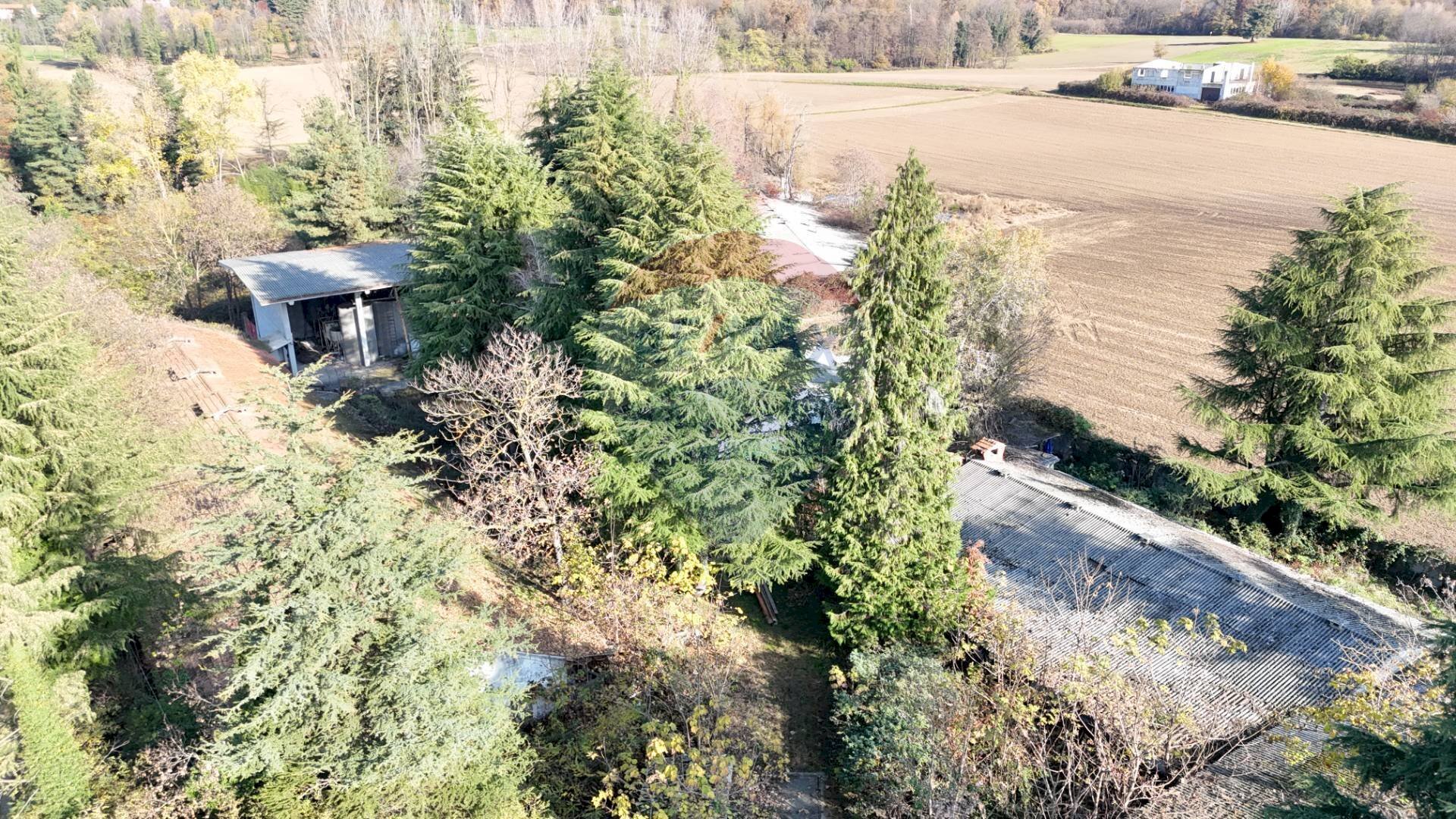 Giardino - Terreno agricolo Via Tripoli
 
3, Agrate Conturbia - foto 3