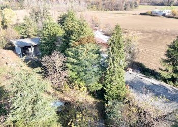 Giardino - Terreno agricolo Via Tripoli
 
3, Agrate Conturbia - foto 3