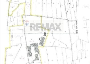 Pianta 2D - Terreno agricolo Via Tripoli
 
3, Agrate Conturbia - foto 2