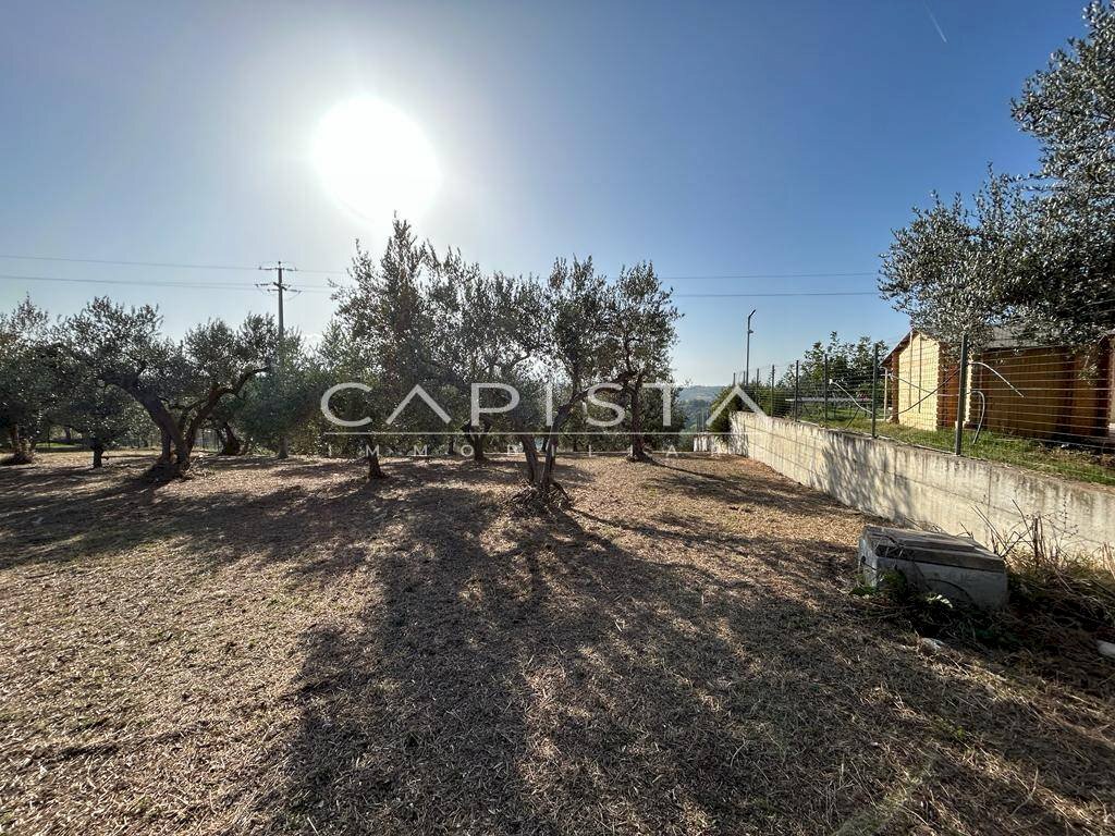 Foto 2 - Agricultural land San Vito Chietino - photo 2