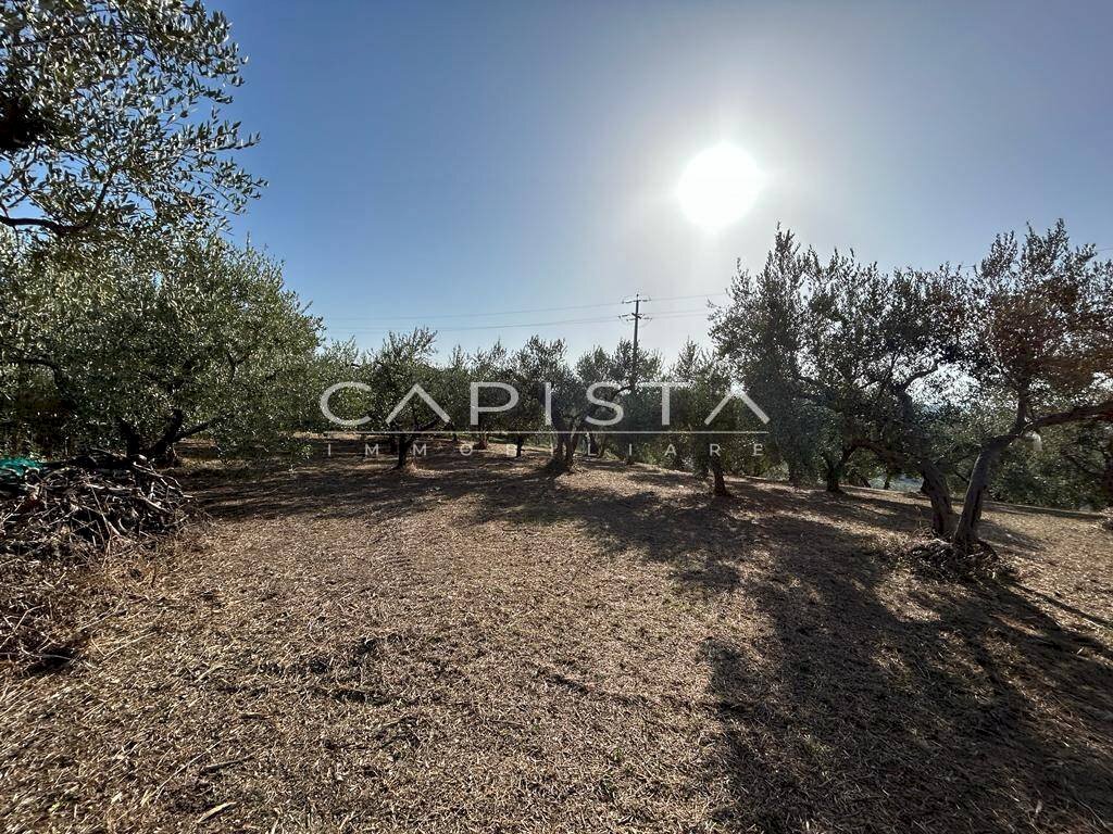 Foto 3 - Agricultural land San Vito Chietino - photo 3