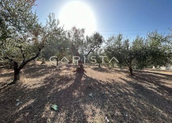 Foto 1 - Terreno agricolo San Vito Chietino - foto 1