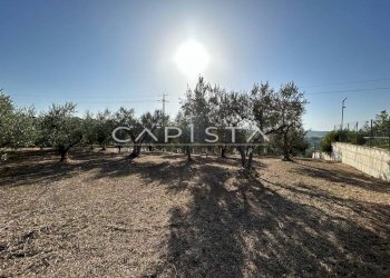 Foto 4 - Terreno agricolo San Vito Chietino - foto 4