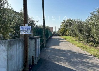 Foto 5 - Terreno agricolo San Vito Chietino - foto 5