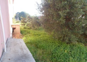 giardino - Commercial Premises Pietro Nenni, Tratalias - photo 6