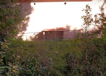 giardino - Commercial Premises Pietro Nenni, Tratalias - photo 7